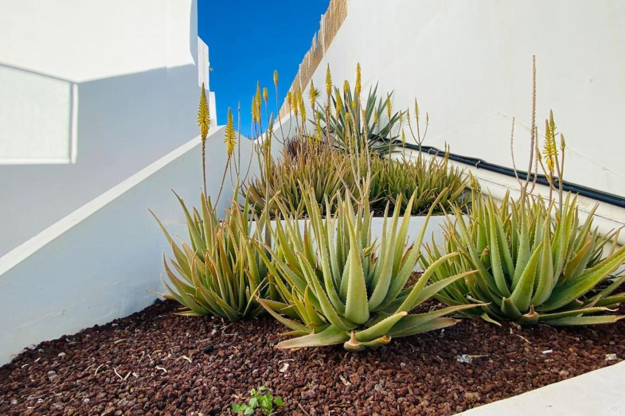 Tenerife.365 Atalaya Court II Sunset Ocean View Costa Adeje  Ngoại thất bức ảnh
